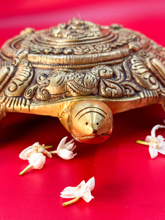 Feng Shui Turtle – Longevity, Stability & Good Luck